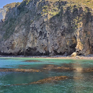 Meet your Posher, Dion